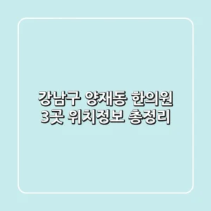 강남구 양재동 한의원 3곳 위치/정보 총정리