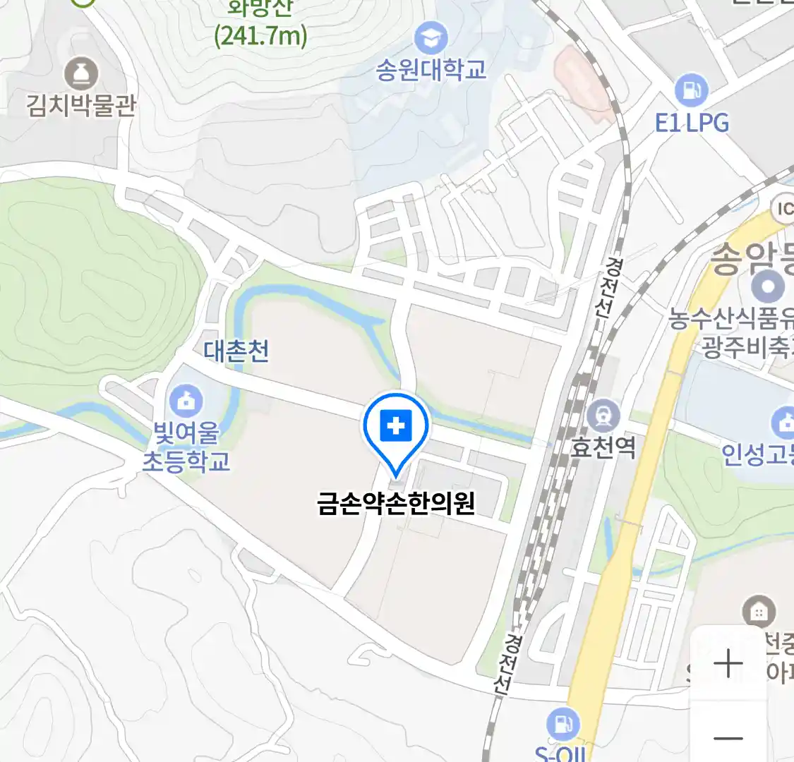 금손약손한의원 지도
