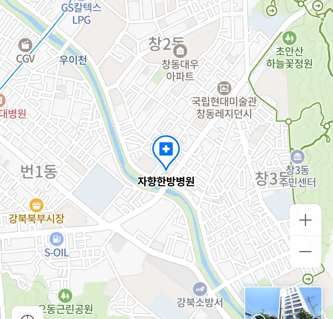 자향한방병원 위치