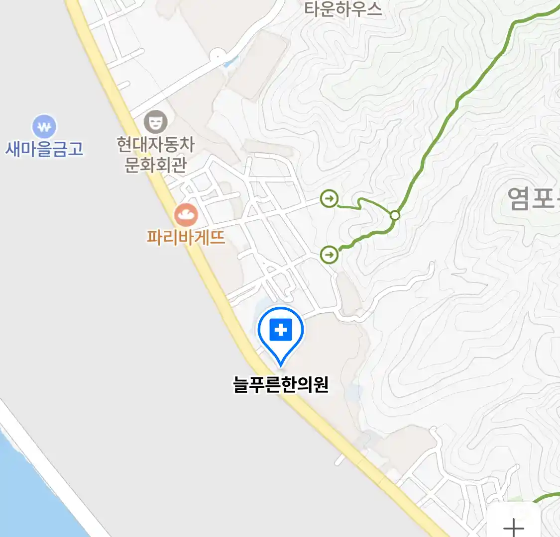 늘푸른한의원 위치
