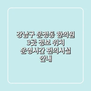 강남구 문정동 한의원 3곳 정보 - 위치, 운영시간, 편의시설 안내