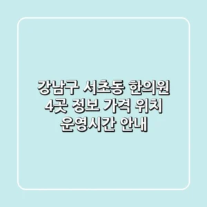 강남구 서초동 한의원 4곳 정보 - 가격, 위치, 운영시간 안내