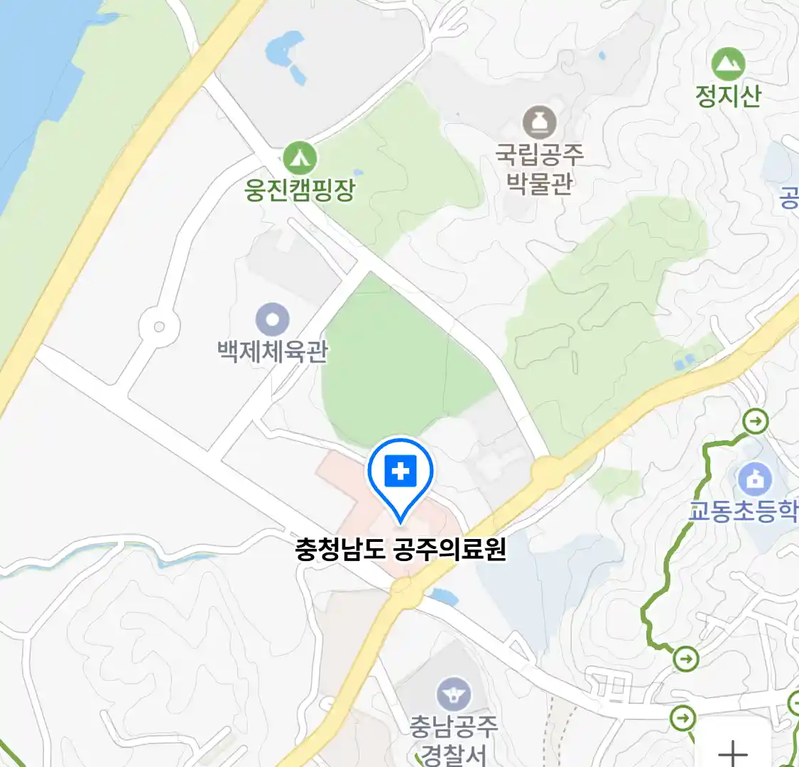 충청남도 공주의료원 위치