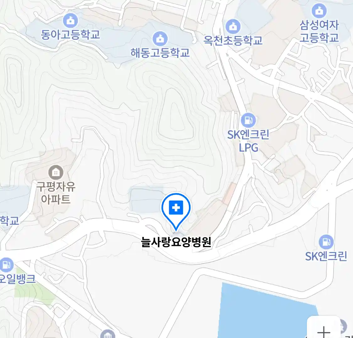 늘사랑요양병원 위치