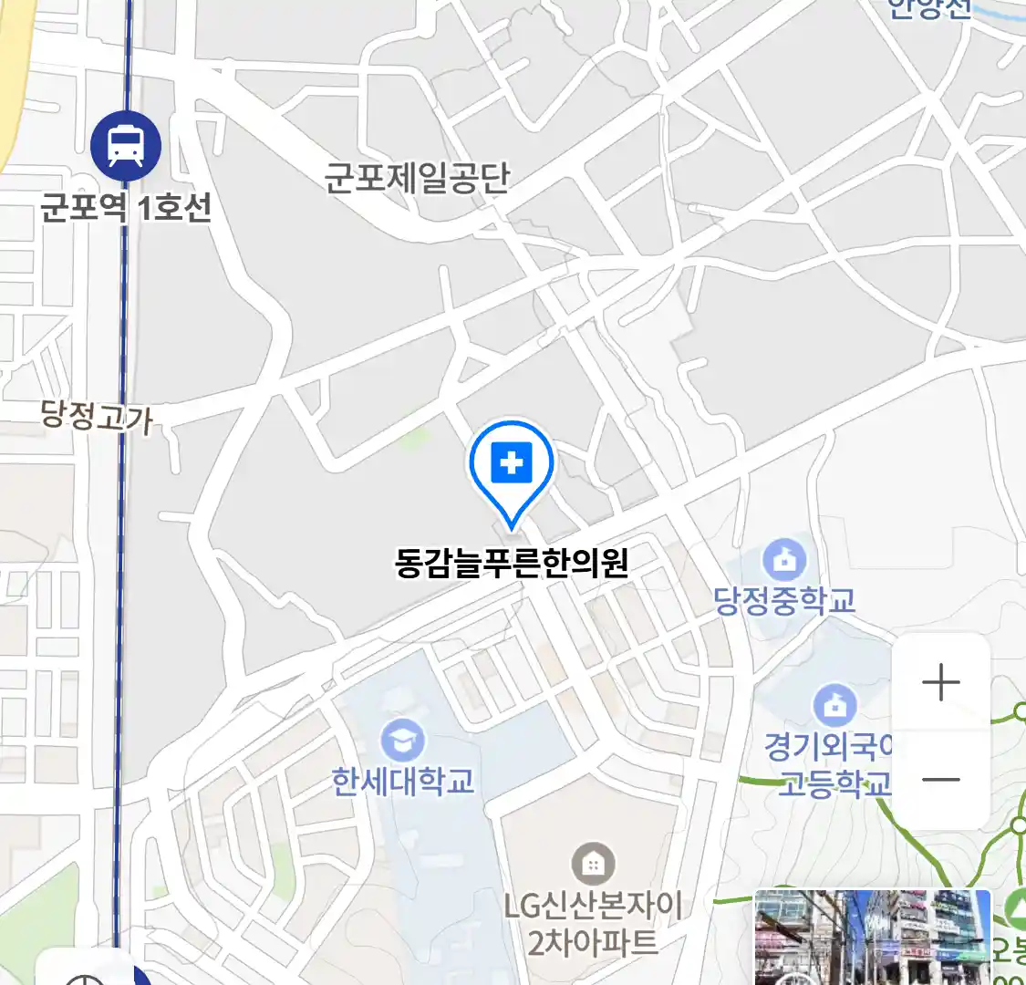 동감늘푸른한의원 위치