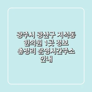 광주시 광산구 지석동 한의원 1곳 정보 총정리 - 운영시간/주소 안내