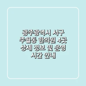 광주광역시 서구 주월동 한의원 4곳 상세 정보 및 운영 시간 안내