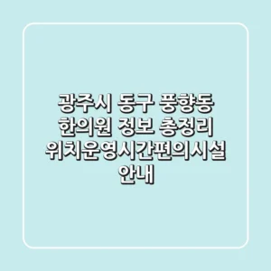 광주시 동구 풍향동 한의원 정보 총정리 - 위치/운영시간/편의시설 안내