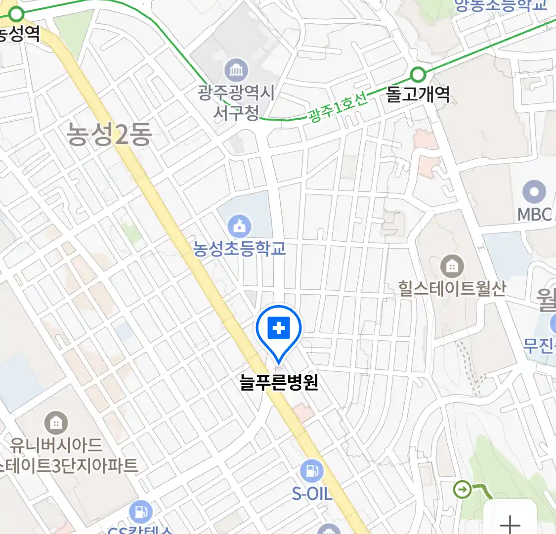 늘푸른병원 위치