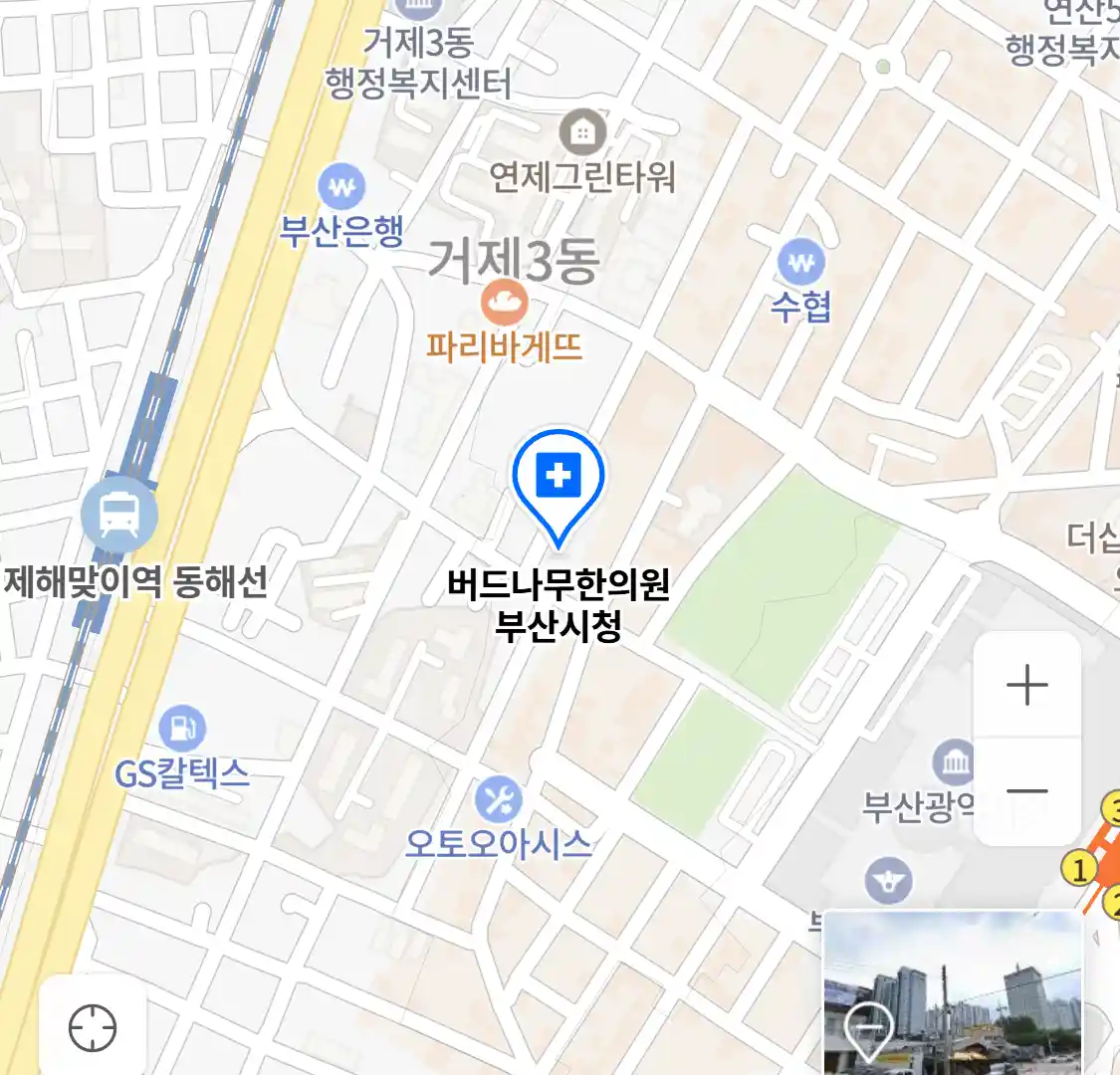 버드나무한의원 부산시청 위치