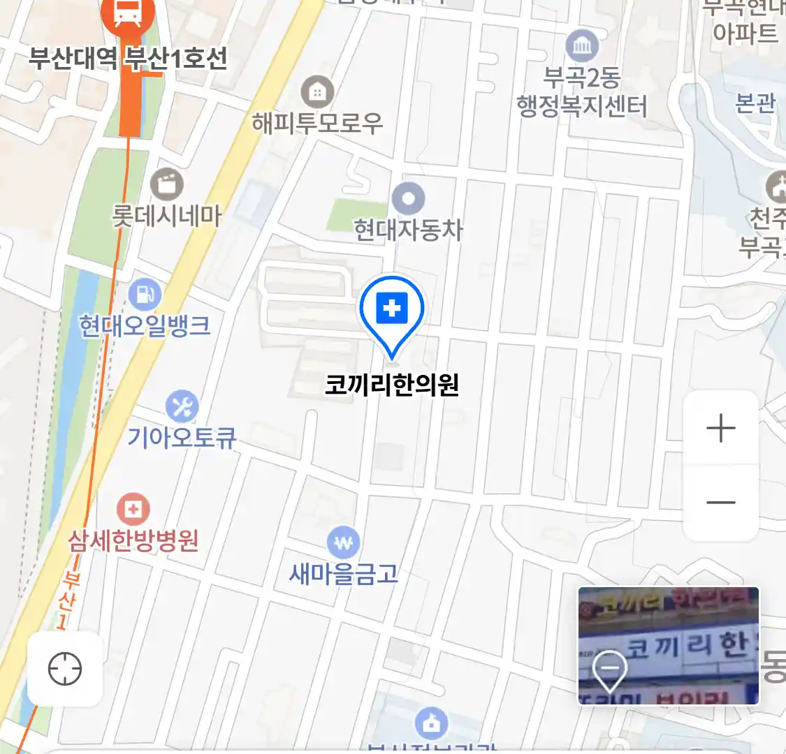 코끼리한의원 위치