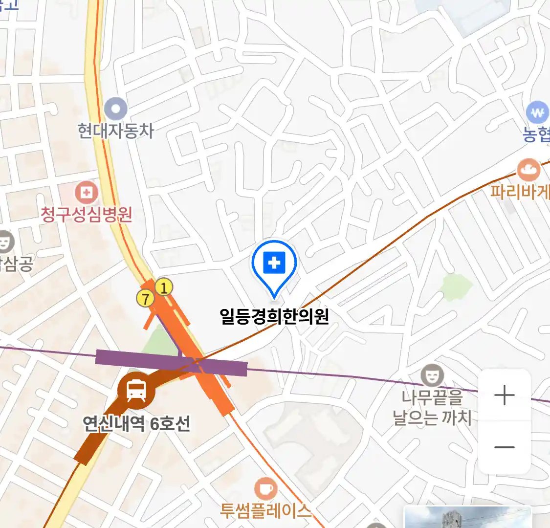 일등경희한의원 위치