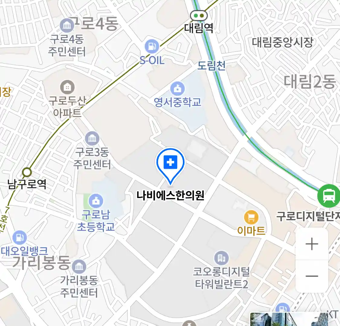 나비에스한의원 위치