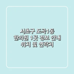 서초구 도곡1동 한의원 1곳 정보 안내 - 위치 및 연락처