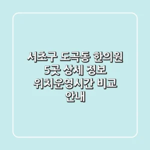 서초구 도곡동 한의원 5곳 상세 정보 - 위치/운영시간 비교 안내