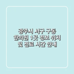 광주시 서구 구동 한의원 1곳 정보 - 위치 및 진료 시간 안내