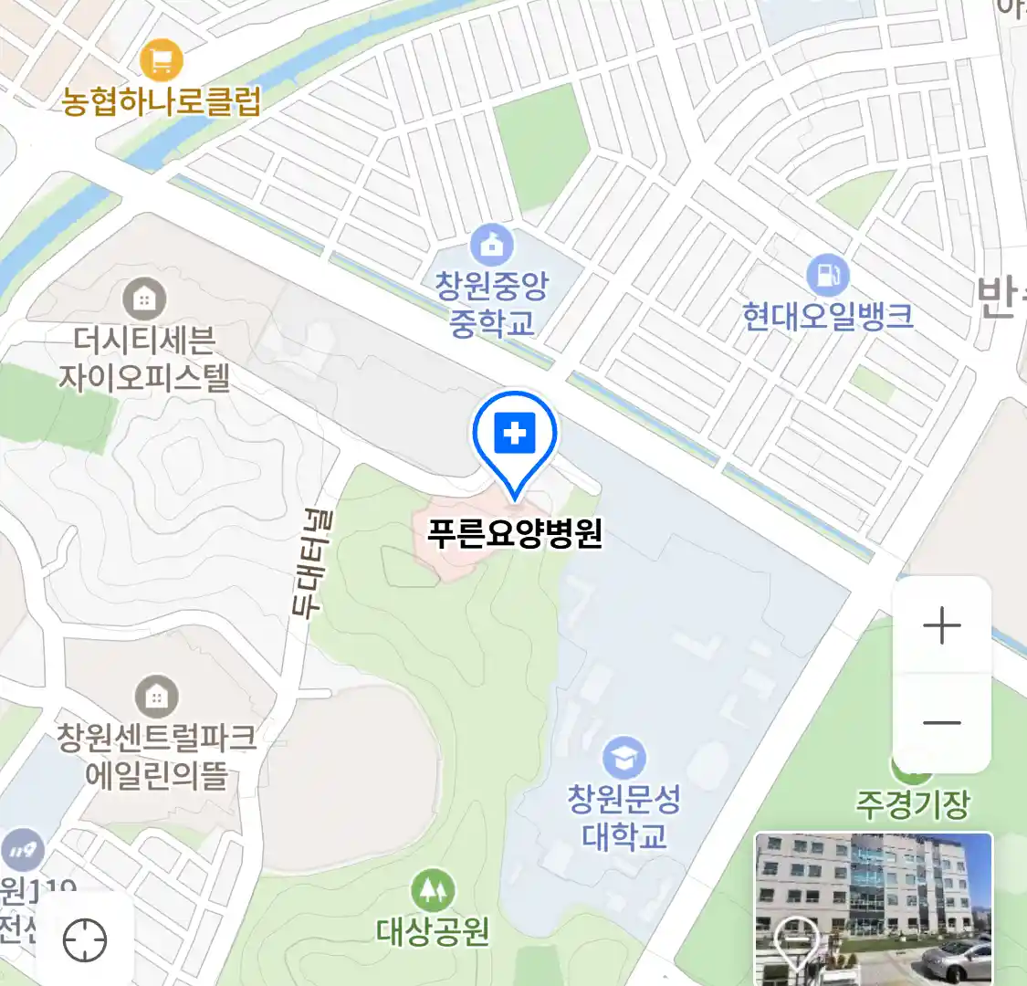 푸른요양병원 위치